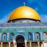 Фото профиля إنما المؤمنون إخوة