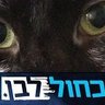 Profilbild von kd.. אני עם גנץ