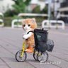 、 的头像