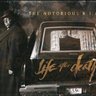 Profilbild von Notorious13