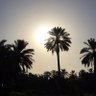 نجد 的头像