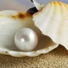 اللولو المنثور🐚🇸🇦 profil fotoğrafı