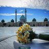 Фото профиля داودی🇮🇷