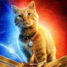 Фото профиля 猫之介