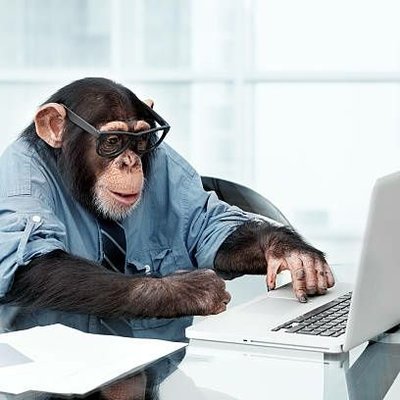 _sushiy's profile picture