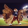 Misti Wells's profile picture
