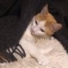 Chloe's profile picture