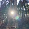 ユキ 的头像