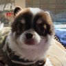 KOTARO_1970 profil fotoğrafı