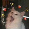 익명's profile picture