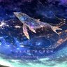 大j先生's profile picture