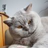 Gerda Binky 🚜's profile picture