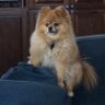 ABQBubbi profil fotoğrafı