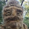 BigFoot?? profil fotoğrafı