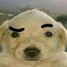 Ernesto allan's profile picture