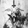Фото профиля Ccmiau