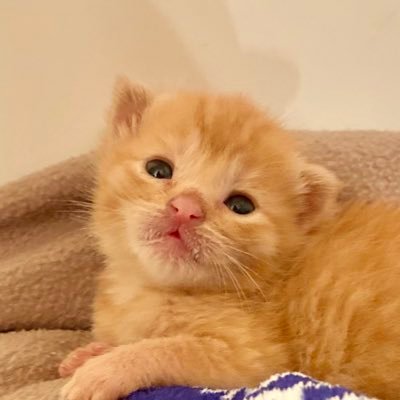 hi I’m Hank's profile picture