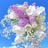 princess_z_27 profil fotoğrafı