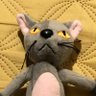 (=^ェ^=)'s profile picture