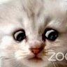 Sixstring Sam's profile picture