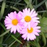 Фото профиля Emma's