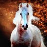 Фото профиля Sandra
