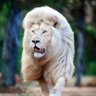 هادي's profile picture