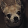 安藤 眞's profile picture