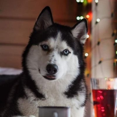 fu_ri_ya's profile picture