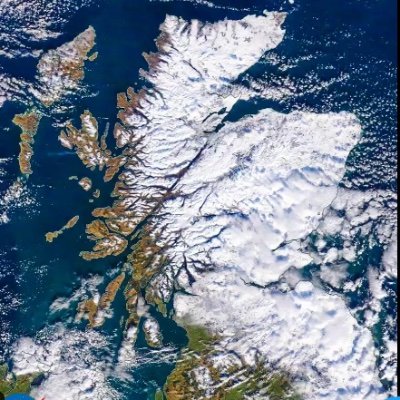 ScottyC1903's profile picture
