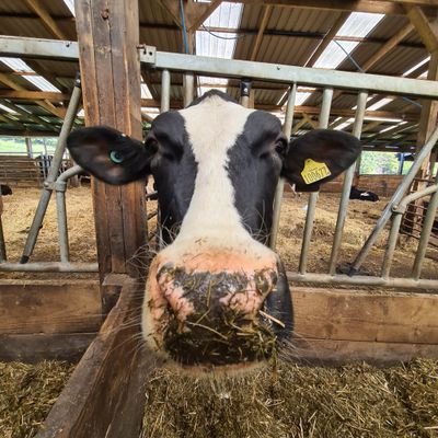 🇬🇧 Gerald de Boing Boing 🏴's profile picture