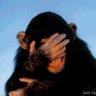 Paul James's profile picture