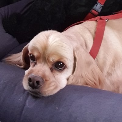 ์ ฌ๋ง(Gemma)'s profile picture
