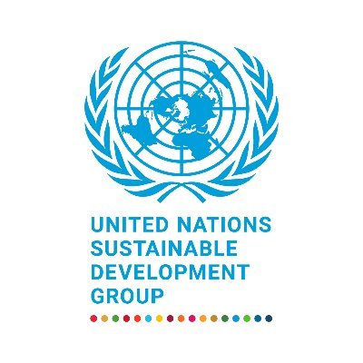 UN_SDG's profile picture