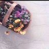 عسجدة's profile picture