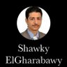 Фото профиля Shawky ElGharabawy
