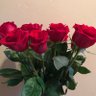 Фото профиля 🌺🌺ANDREA🌸🌼🇬🇹