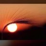 H.Kh's profile picture