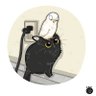 知了之夏 profil fotoğrafı