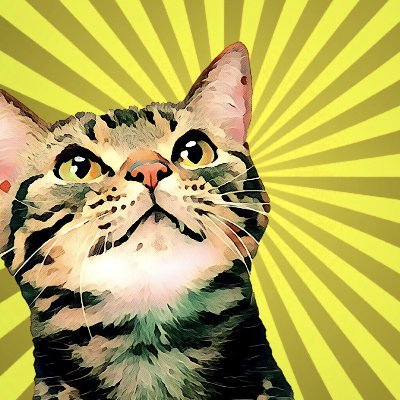 indoorcat629's profile picture