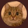 Profilbild von Festina lente