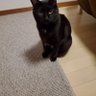 クロチ 的头像