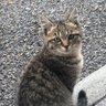 億田和将 profil fotoğrafı