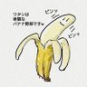 Profilbild von イボ痔(レベル2)