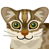 Profilbild von やまねこM