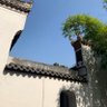 Фото профиля 武林害虫