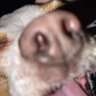 Mike Honcho's profile picture