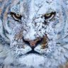 oneto's profile picture