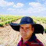 Bladimir profil fotoğrafı