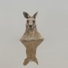キング。シュガー's profile picture